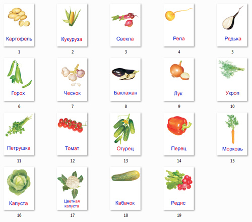 Овощи на картинках для детей